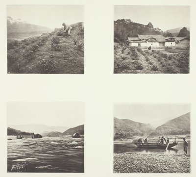 Die Teepflanze; Yenping-Stromschnellen; Ein kleines Schnellboot von John Thomson
