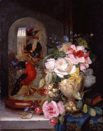 Ein Stillleben mit Rosen in einer Vase neben exotischen Vögeln in einem Glaskasten von John Wainwright