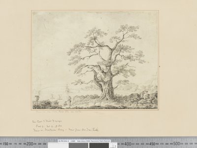Ansicht am Meeresufer, großer Baum in der Mitte von John Webber