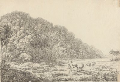 Ansicht der Insel Pulo Condore von John Webber