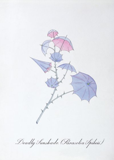 Tödlicher Sonnenschirm (Parasolia Spikeii.), Illustration aus 