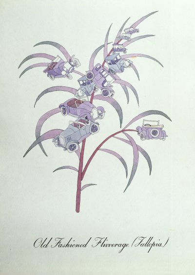 Old Fashioned Flivverage (Fallopia.), Illustration aus 