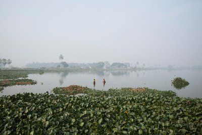 Fischen im Feuchtgebiet in Kolkata, 2016 von Jon Nicholson