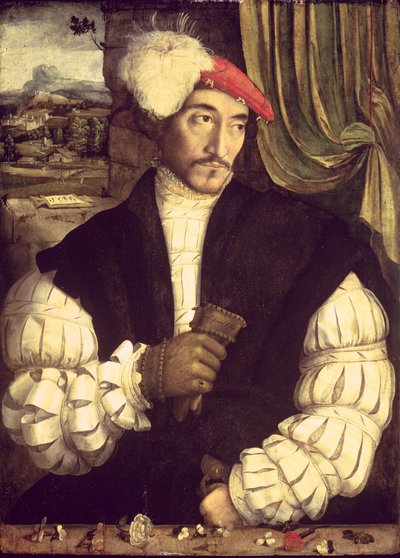 Porträt eines Mannes, 1533 von Jorg I Breu