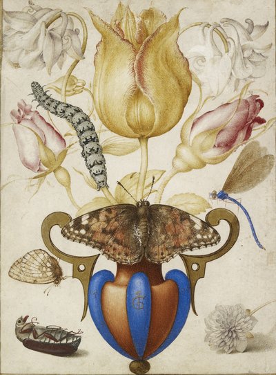 Blumenarrangement in einer Vase, mit Insekten, 1594 (Aquarell mit Gold auf Pergament) von Joris Hoefnagel