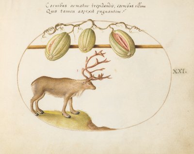 Teller 21: Rentiere mit Melonen von Joris Hoefnagel