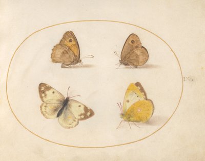 Tafel 9: Wiesenbraunauge, Schornsteinfeger, Postillon und Bath-Weißling von Joris Hoefnagel