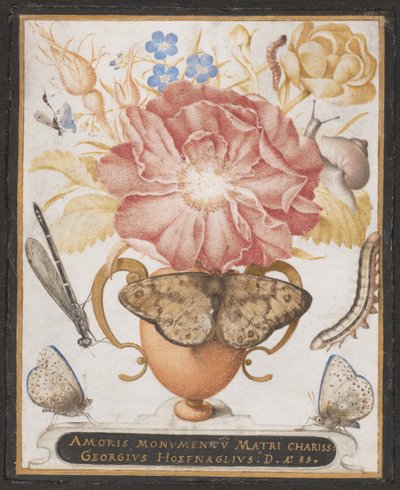 Stillleben mit Blumen, einer Schnecke und Insekten, 1589 von Joris Hoefnagel