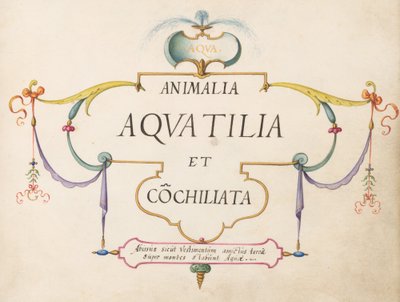Titelseite von Joris Hoefnagel