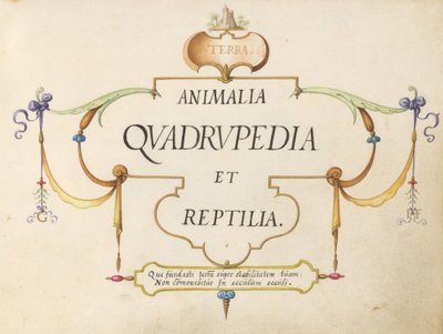 Titelseite von Joris Hoefnagel