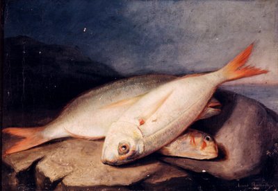 Stillleben mit Fischen von José Arias Ramírez