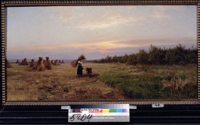 Ernte im Abendlicht von Josef Evstafievich Krachkovsky