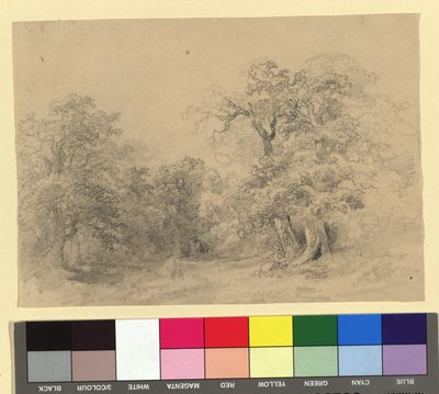 Waldlandschaft von Josef Kriehuber