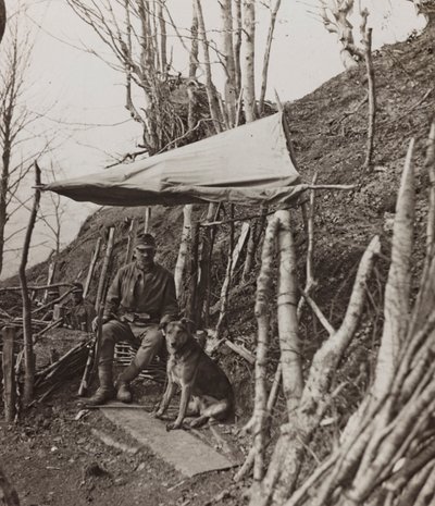 Album "Meine weltkriegs - Erinnerungen Südwestfront (Kärnten, Italien, Südtirol) 31/03/1915-12/11/1918 - Josef Zohles Wien": Militärhund unter einem Zelt von Josef Zohles