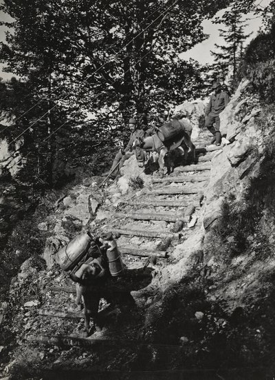 Album "Meine weltkriegs - Erinnerungen Südwestfront (Kärnten, Italien, Südtirol) 31/03/1915-12/11/1918 - Josef Zohles Wien": Armeemaultiere an einem steilen Abhang von Josef Zohles