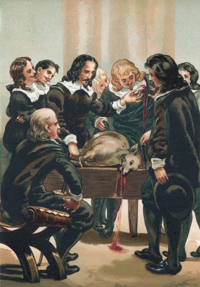 William Harvey demonstriert den Blutkreislauf von Josep or Jose Planella Coromina