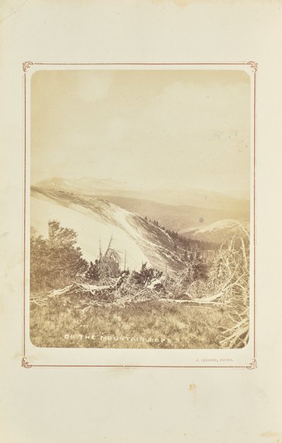Auf den Berggipfeln von Joseph Collier