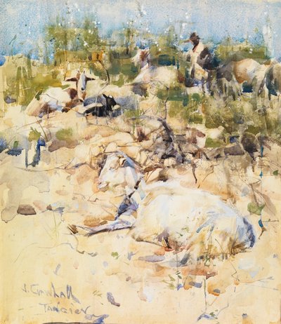 Ziegen auf einem Hügel, Tanger von Joseph Crawhall