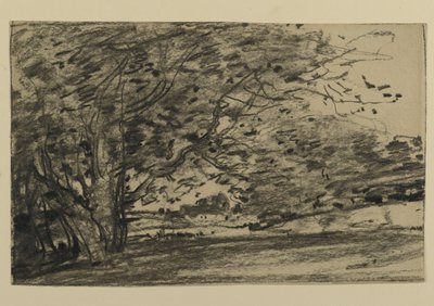 Studie von Bäumen, 1870 von Joseph Frank Currier