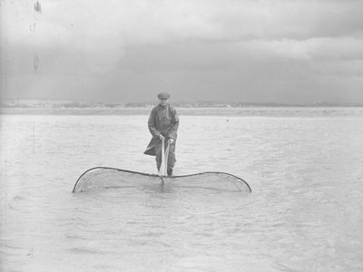 Fischer benutzt ein großes Netz im flachen Wasser von Joseph Hardman
