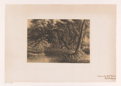 Waldlandschaft mit Teich von Joseph Hartogensis