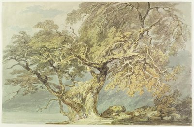 Ein großer Baum, ca. 1796 von Joseph Mallord William Turner