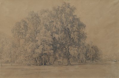 Birkengruppe im Park von Schloss Seebenstein in Niederösterreich von Joseph Martin Höger