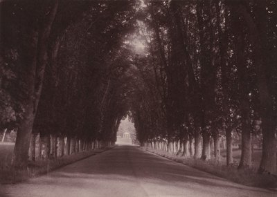 Allee, Château de Grand-Vaux, Savigny-sur-Orge, das Familienheim von Vigier von Joseph Vigier