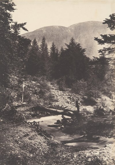 Torrent de la cascade des Demoiselles, Bagnères de Luchon, 1853 von Joseph Vigier