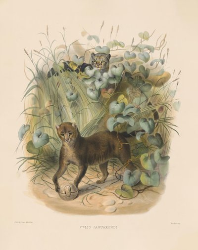  von Joseph Wolf