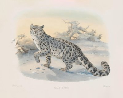  von Joseph Wolf