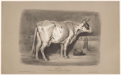 Kuh im Stall von Joseph Zephyris Gengembre