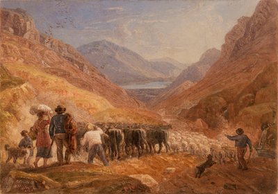 Hirten treiben Rinder und Schafe durch den Tal-y-Llyn-Pass, Wales von Joshua Cristall