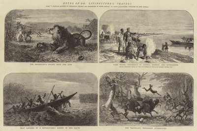 Notizen zu Dr. Livingstones Reisen von Josiah Wood Whymper