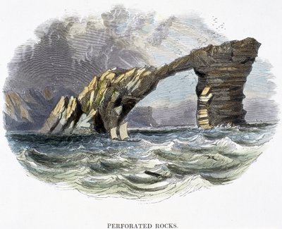 Durchlöcherte Felsen, aus Phänomene der Natur, 1849 von Josiah Wood Whymper