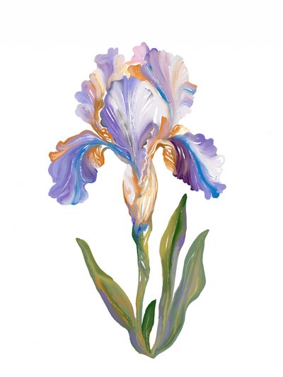 Lebendige malerische Iris von Josie George