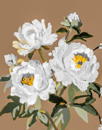 Weiße Pfingstrosenblüten von Josie George