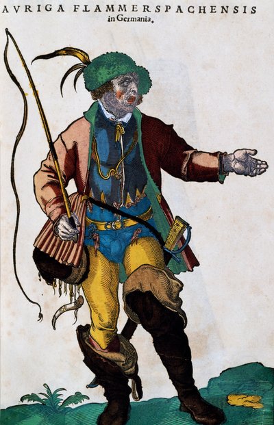 Kostüm eines Kutschers in Deutschland, Stich aus Habitus praecipuorum popularum von Jost Amman