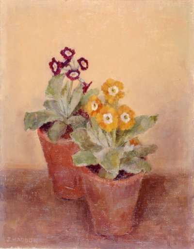 Ein Paar Mohnblumen von Joyce Haddon