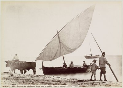 Ochsen ziehen Fischerboot am Strand von Valencia von Juan Laurent