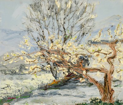 Blühende Frühlingsbäume von Jukyong Park