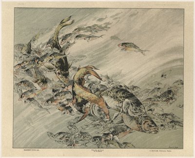 Fische, Tafel 7 aus 