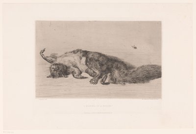 Totes Eichhörnchen und Fliege von Jules Ferdinand Jacquemart