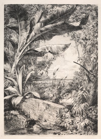 Pflanzen des Gewächshauses, 1872 von Jules Ferdinand Jacquemart