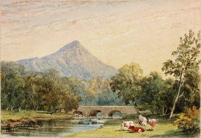 Sugarloaf Hill von Tynnahinch von Julia Swinburne