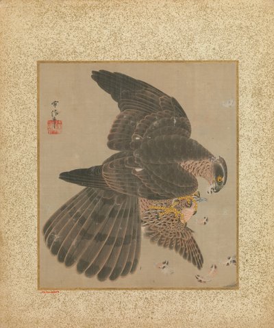 Album von Falken und Kalligraphie von Kanô Yôboku Tsunenobu