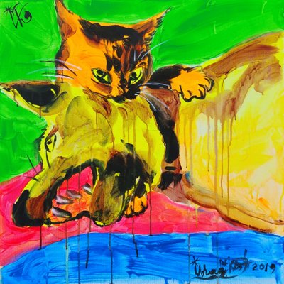 Lebhaftes Katzenspiel von Kanat Ibragimov