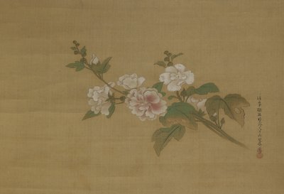 Ein Zweig blühender Hibiskus, Edo-Periode von Kano Tanyu