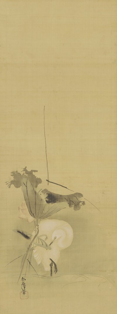 Reiher und Lotus, Edo-Periode, Mitte 17. bis Anfang 18. Jahrhundert von Kano Tsunenobu