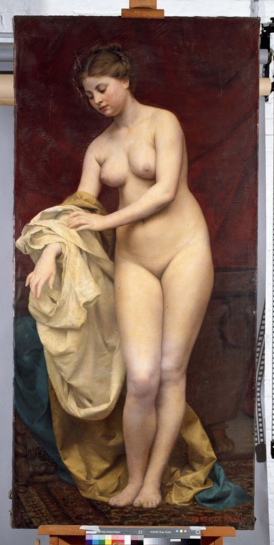 Badende Frau von Karel De Kesel